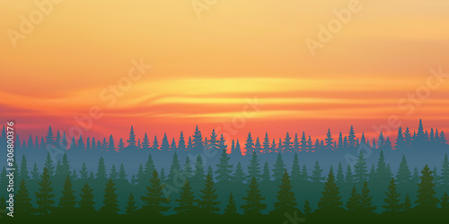 Fantasy on the theme of the northern landscape, a bright sunset in the Siberian taiga, vector illustration, EPS10