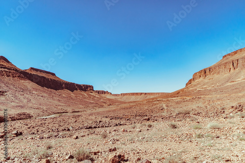 View on the moroccan desert, drying, desertification, isolated tree