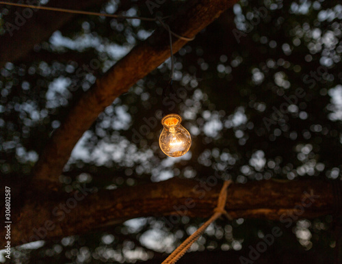 Lighting Lamp latern on the treei n Asia photo