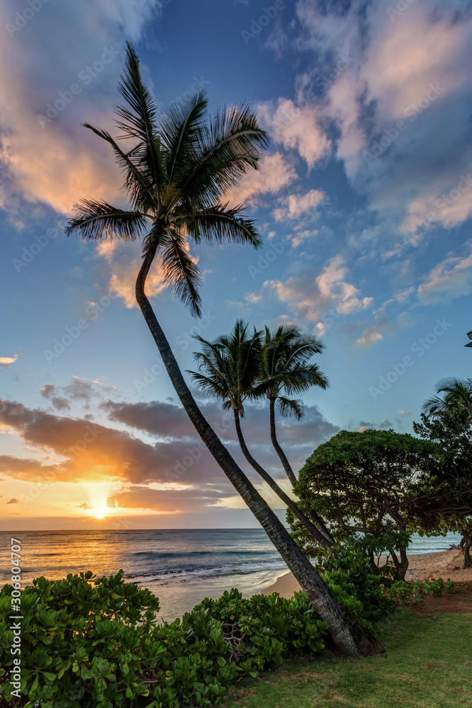 The Sea, beach and Palm trees at Sunrise on the Island of Kauai, Hawaii