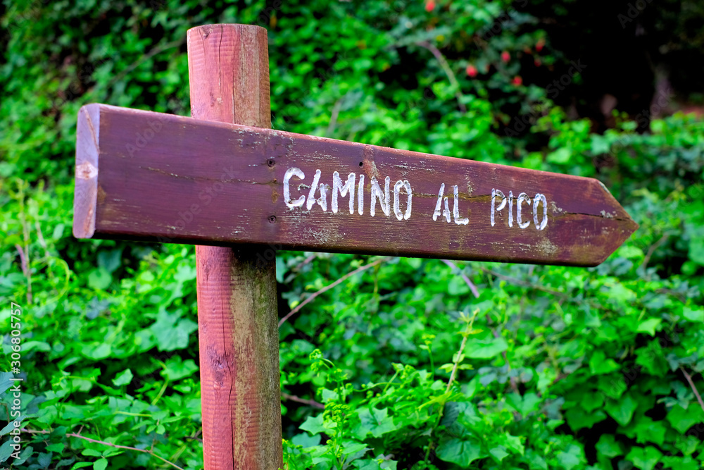 Spanish trekking track sign reading 'Camino al pico' on a wooden post (English: 'Way to the top' or 'Way to the peak').