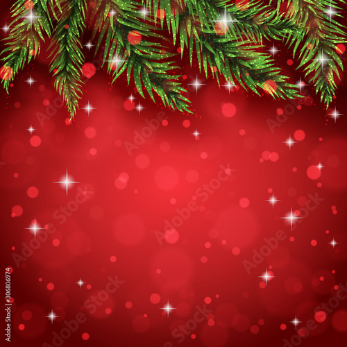 Pine tree branches on the christmas postcard background. Vector illustration.