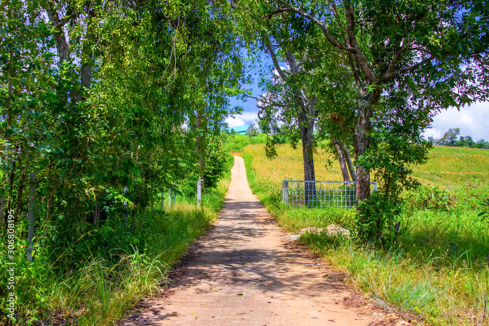 Pathway winding gravel road with green meadow and wheel marks on rode meaning the pathway to success concept. Pathway winding gravel road with green meadow and wheel marks on rode meaning the pathway to success concept.