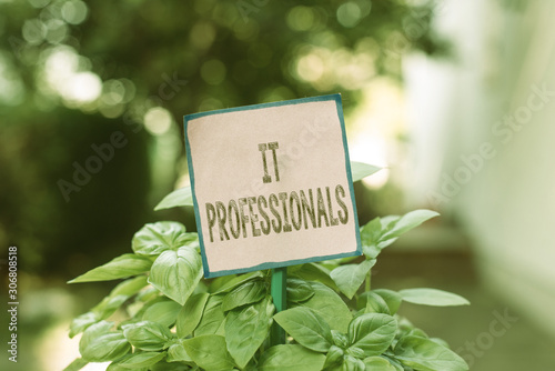 Writing note showing It Professionals. Business concept for any demonstrating associatedand expert with the computer world Plain paper attached to stick and placed in the grassy land © Artur