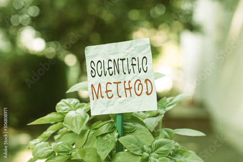 Word writing text Scientific Method. Business photo showcasing method of procedure that has characterized natural science Plain empty paper attached to a stick and placed in the green leafy plants © Artur