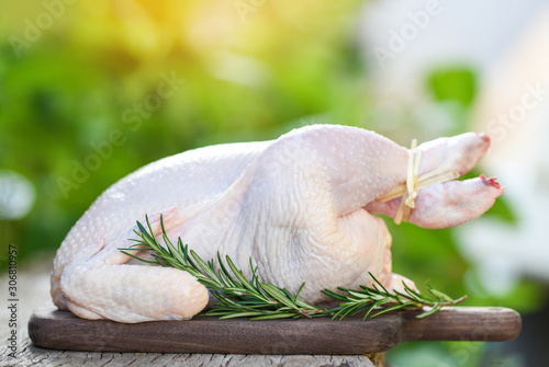 rosemary chicken meat - fresh raw chicken whole on wooden cutting board on nature green background