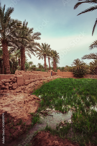 Traditional agriculture in the desert oases in Morocco