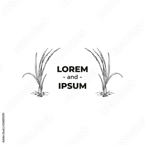 Rice grass plant side frame design template