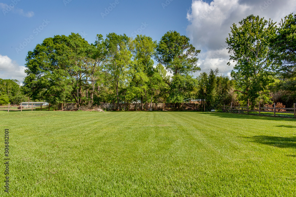 Fototapeta premium Neatly trimmed field with trees surrounding