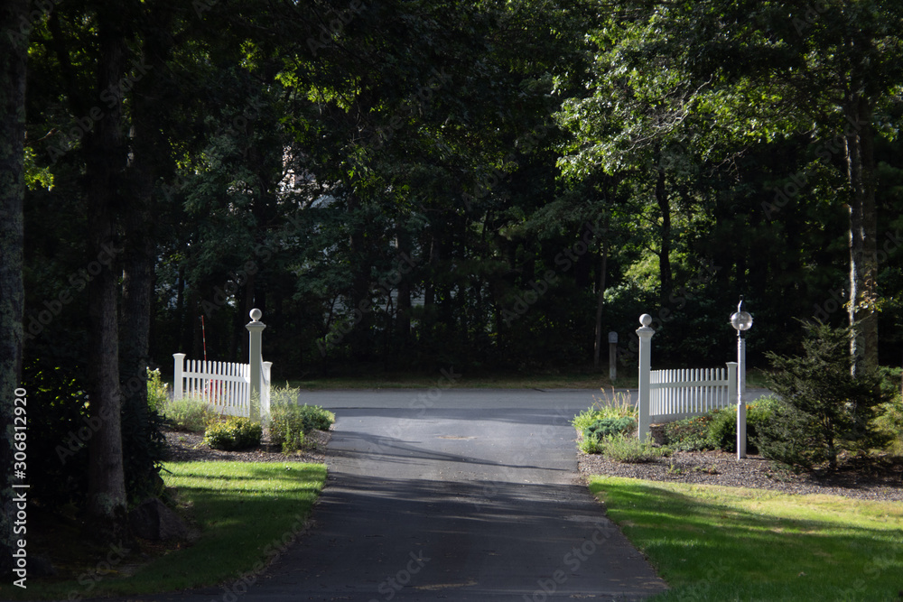 Driveway on a yellow sunny daysurounded by green trees and plants 2 Driveway on a yellow sunny daysurounded by green trees and plants 2