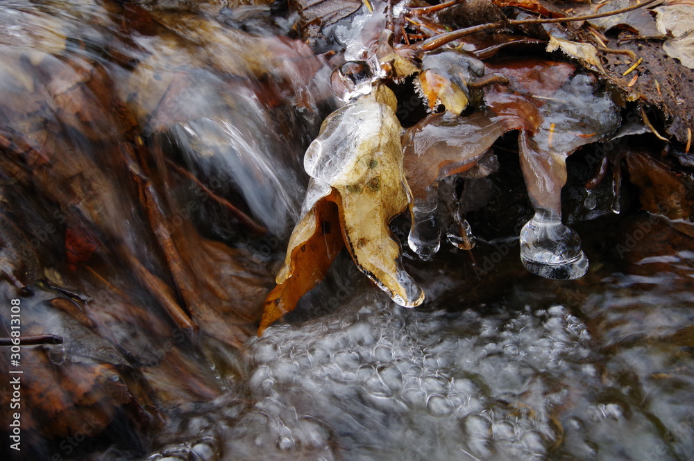 初冬の渓流。氷と清らかな水の流れ。