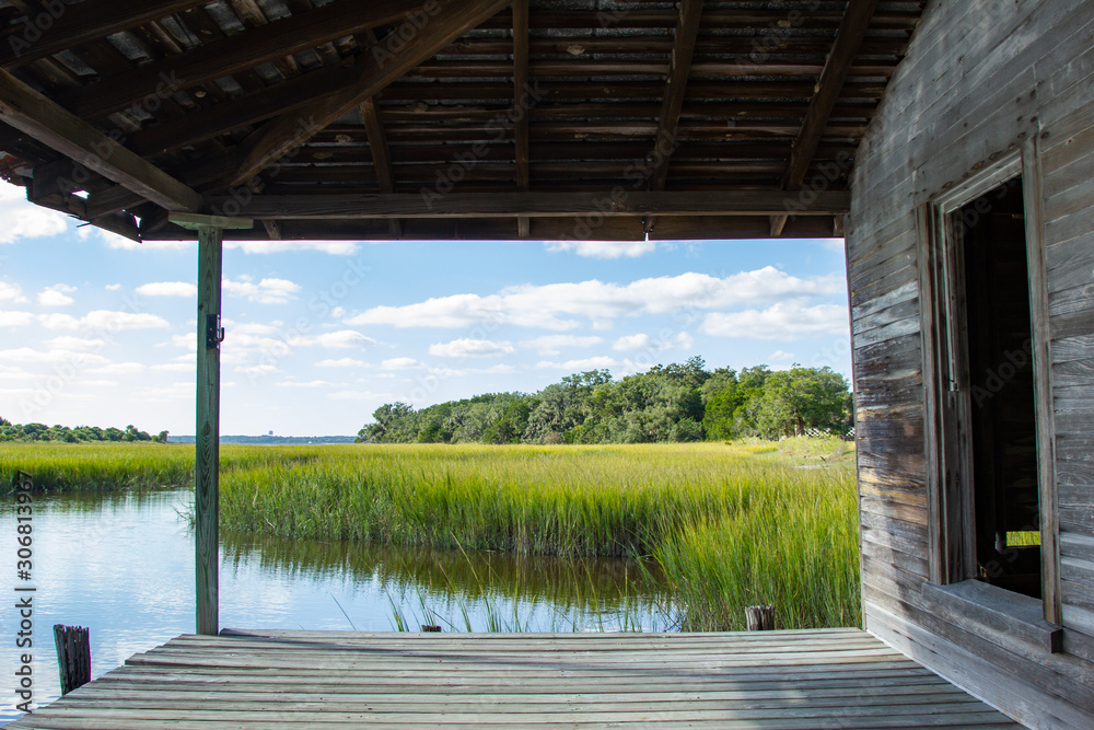View of Marshland from Wooden Dock with Trees and Blue Sky View of Marshland from Wooden Dock with Trees and Blue Sky