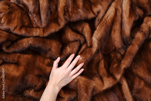 Photos Brown fur mink background texture.  Fashion concept