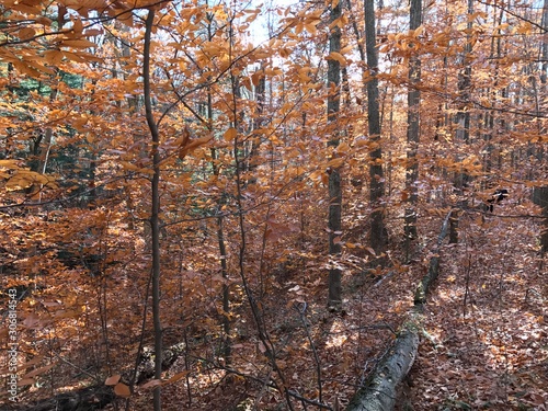 vermont hike 