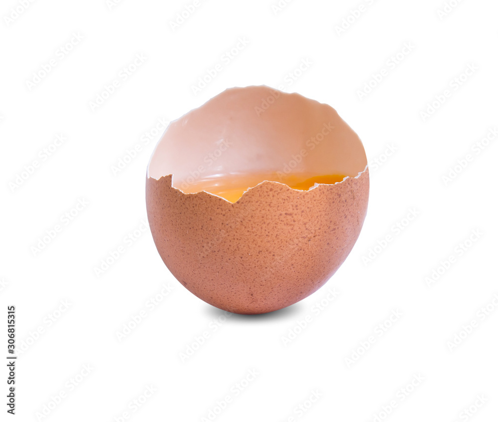 egg fresh raw isolated on white background egg fresh raw isolated on white background