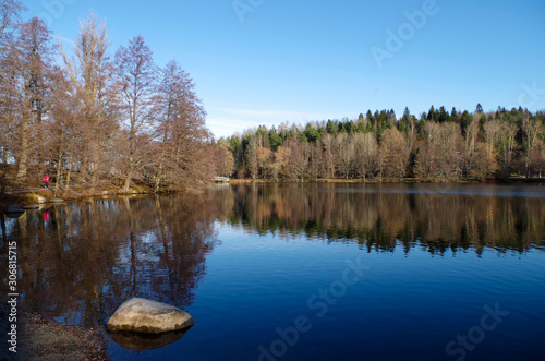 reflection of trees in water