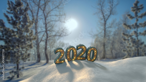 Text 2020 in forest new yea...
