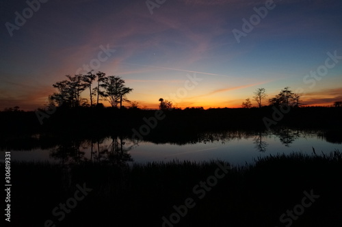 sunset in the swamp © Jaimie Tuchman