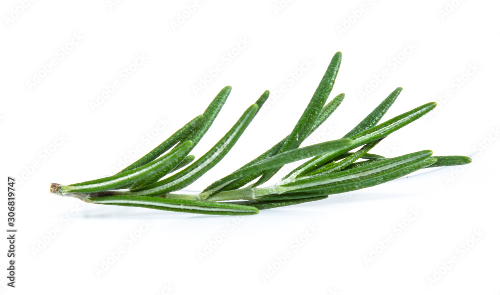 Fototapeta premium rosemary isolated on white background (Mix, set , collection)