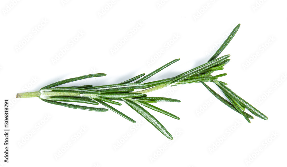 rosemary isolated on white background (Mix, set , collection)