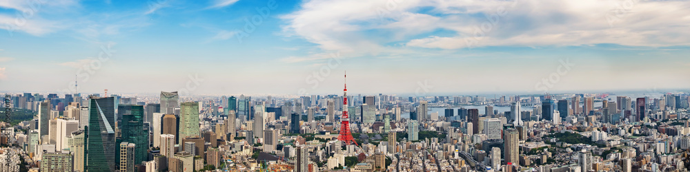 Cityscape of Tokyo skyline, panorama aerial skyscrapers view of office building and downtown in Tokyo on a sunny day. Japan, Asia.