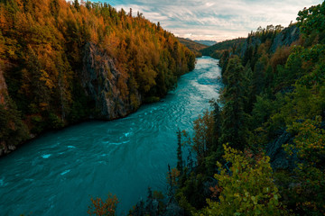 Keuken achterwand Bosrivier Kenai rivier in Alaska herfstkleuren  © Jesse