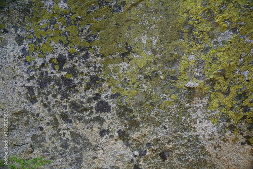 Yosemite and surrounds