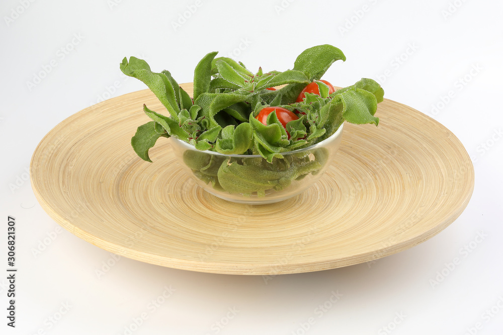 Ice plant vegetable greed frosty leaf Ice plant vegetable greed frosty leaf
