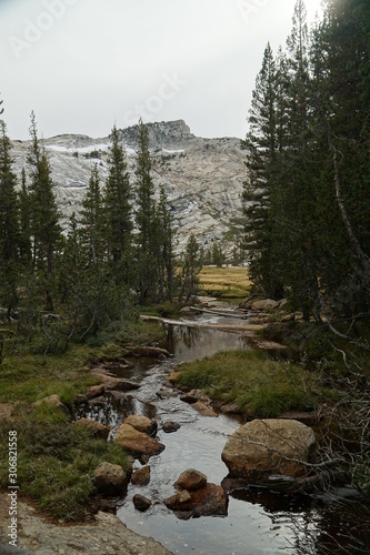 Yosemite and surrounds