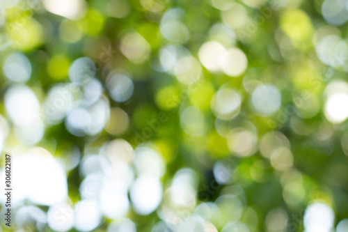 Bokeh background photos