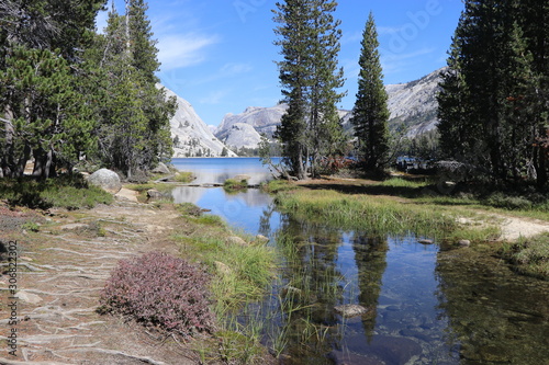 Fototapeta Naklejka Na Ścianę i Meble -  Yosemite and surrounds