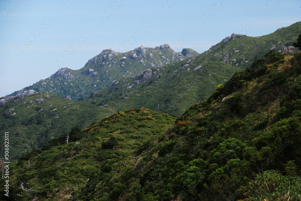 屋久島　最高峰宮之浦岳　山頂への道　永田岳