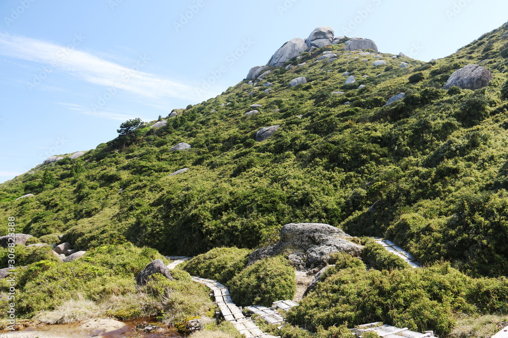 屋久島　最高峰宮之浦岳　山頂への道　翁岳