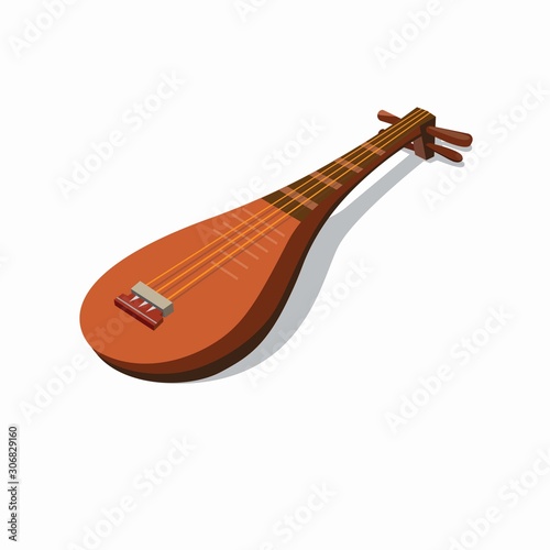 japanese instrument biwa illustration vector