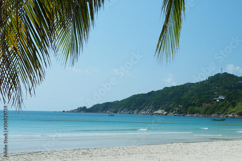 View of the sea and the beach, with a sprig of palm trees, on a sunny day.