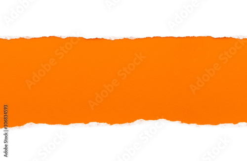 White paper with torn edges isolated with a bright orange color paper background inside. Good paper texture photo