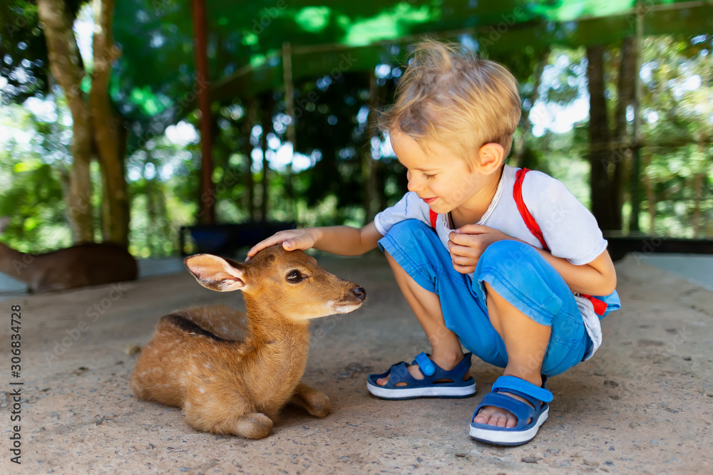Portrait of little caucasian child feeding and petting deer fawn at outdoor park background. Portrait of little caucasian child feeding and petting deer fawn at outdoor park background.