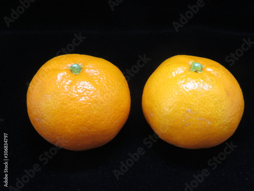 みかん（田口早生）