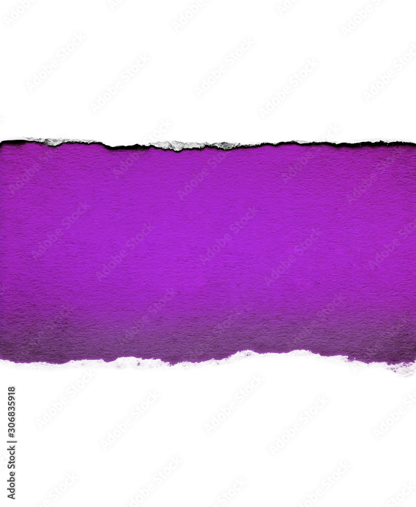 White paper with torn edges isolated with a bright violet color paper background inside. Good sharp paper texture. White paper with torn edges isolated with a bright violet color paper background inside. Good sharp paper texture.