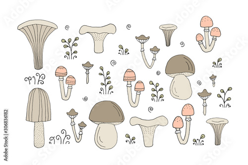 The drawing - set with forest mushrooms and hand drawn elements.