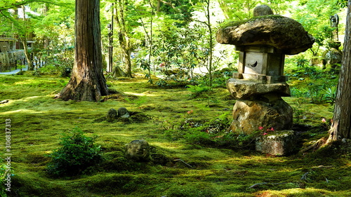 Stone lantern in Japanese moss garden in Sanzenin Temple at Ohara. photo