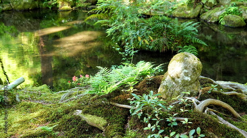 Stone statues with fern and a pond in the background. Japanese moss garden in Sanzenin Temple at Ohara. photo