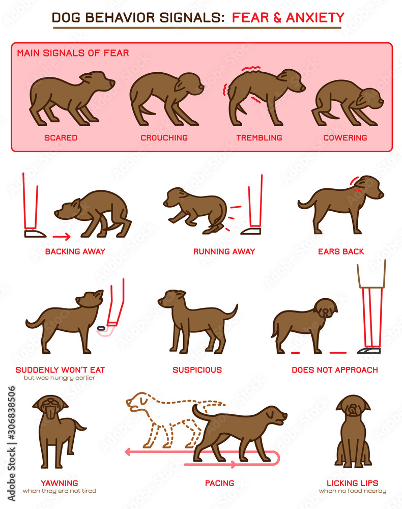 Dog Behavior Icons
