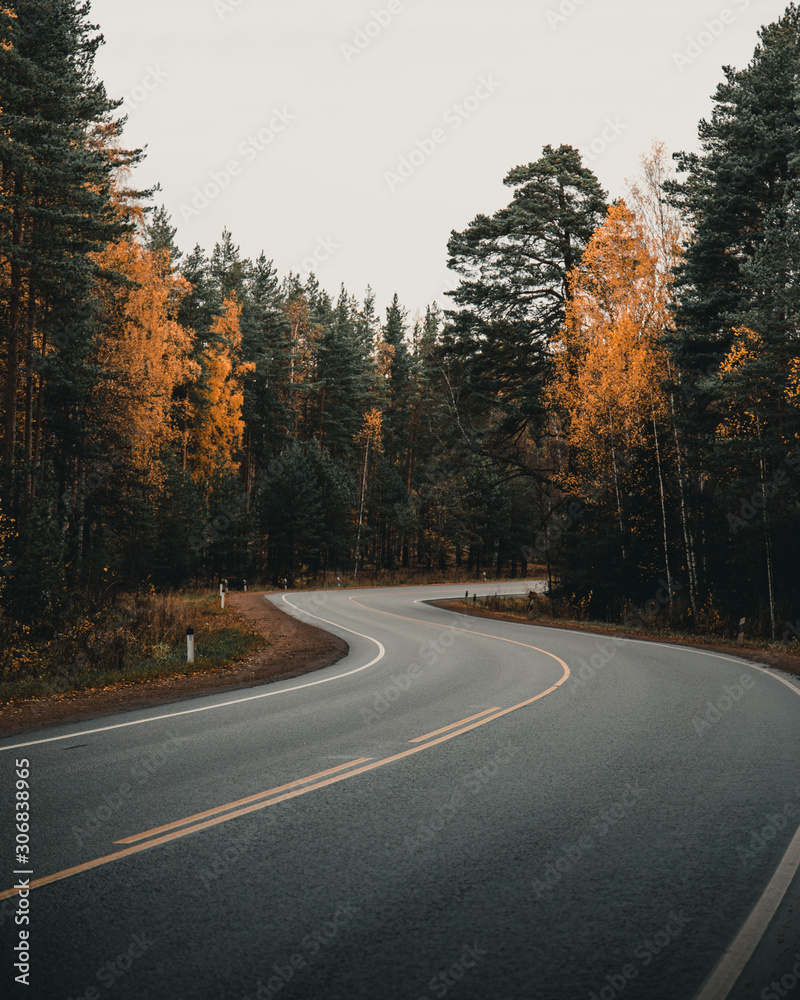 Fototapeta premium Autumn road