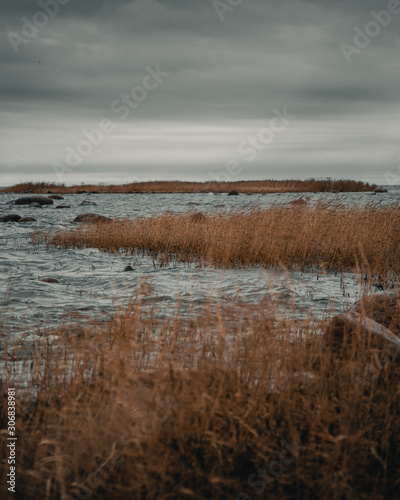 Gulf of Finland Shore