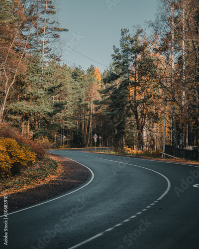 Autumn road