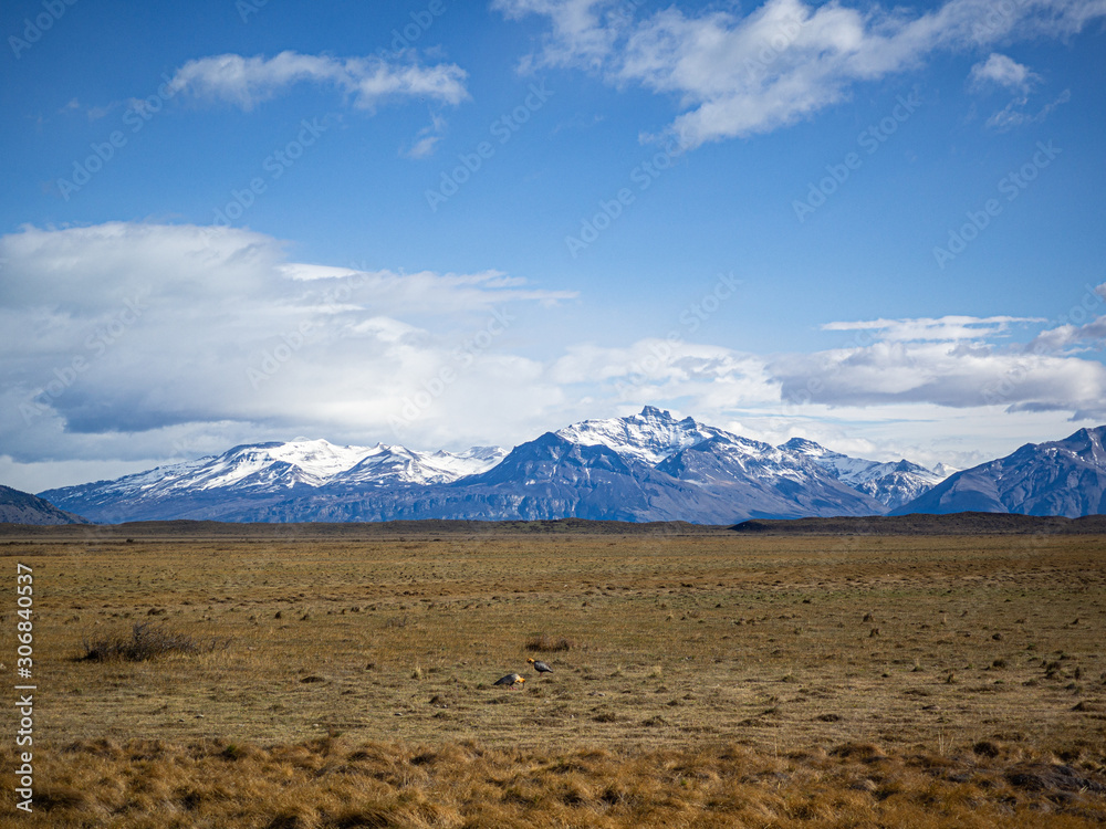 view of Patagonia and Andes from the road