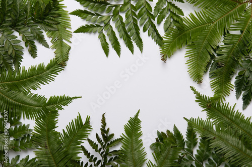 Tropical layout made of palm leaves with copy space background. Flat lay. Gre...