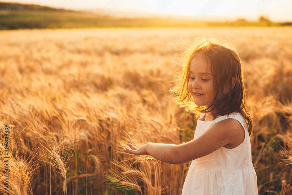 Obraz premium Portrait of a cute little girl running and touching wheat smiling in a field of wheat against sunset.