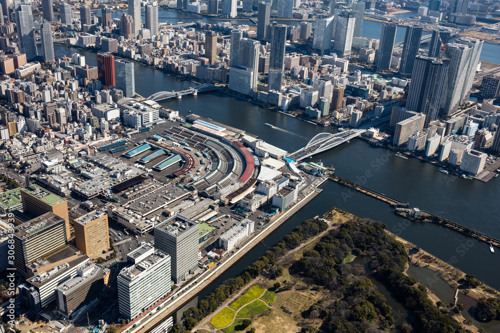 Obraz premium 東京 築地市場